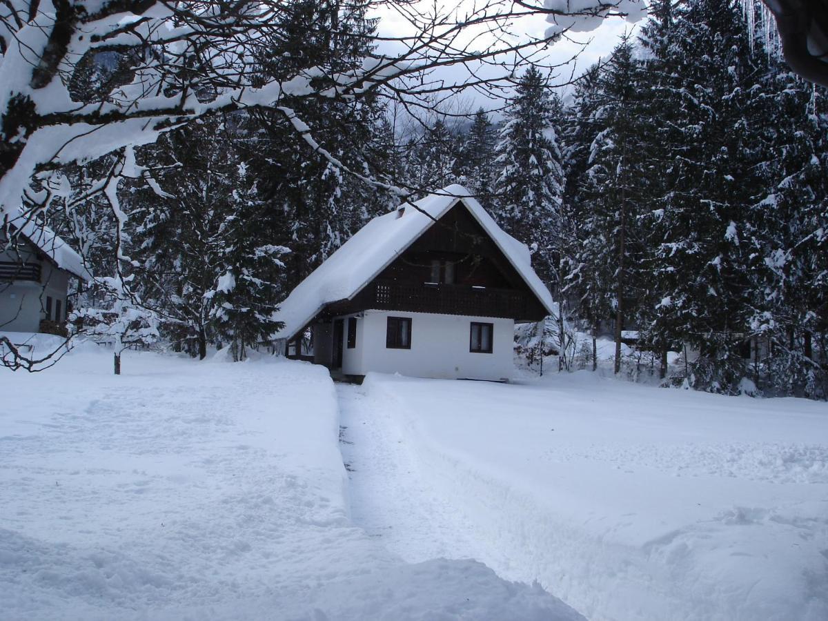 Apartment Lake Bohinj No. 5 Exterior photo